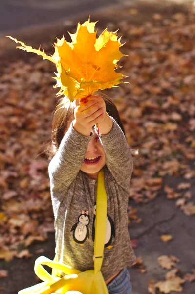 Mooi Meisje Met Plezier Herfst Park Glimlachen — Stockfoto