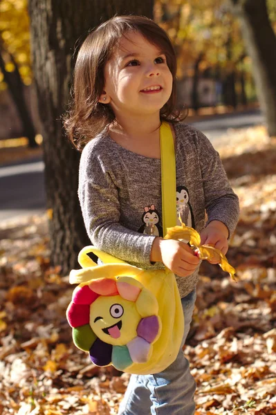 Όμορφο Μικρό Γελαστό Κοριτσάκι Που Διασκεδάζουν Στο Πάρκο Φθινόπωρο — Φωτογραφία Αρχείου