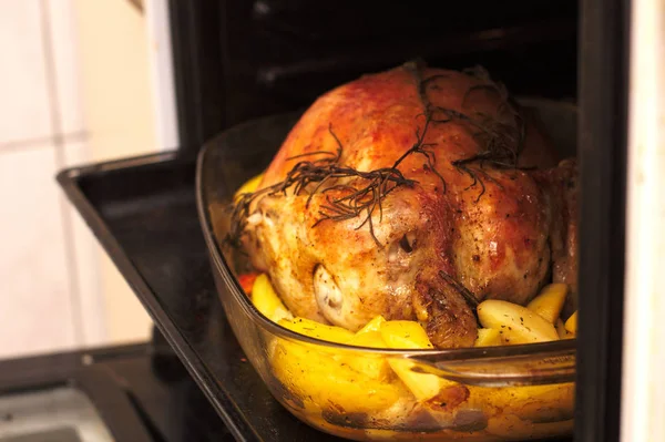 Oven-panggang kerak renyah diisi ayam di piring dengan kentang dan apel — Stok Foto