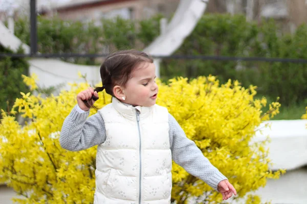 Beledigd klein meisje houden haar paardenstaarten op de achtergrond van een Bush met gele bloemen — Stockfoto