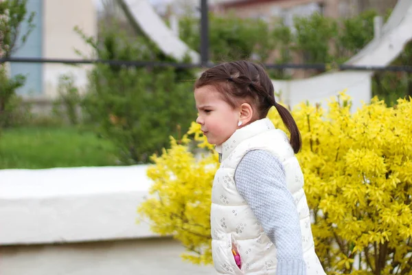 Offended little girl with tails passes by a bush with yellow flowers — Stock Photo, Image