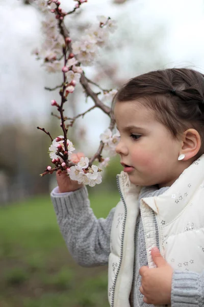 Porträt eines schönen fröhlichen kleinen Mädchens vor dem Hintergrund eines blühenden Baumes — Stockfoto