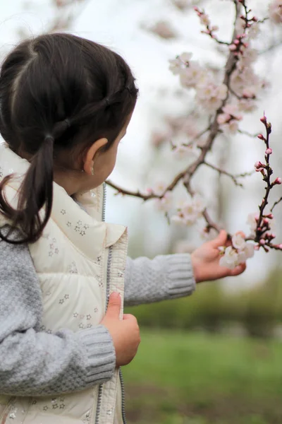 Портрет красивой веселой маленькой девочки на фоне цветущего дерева — стоковое фото