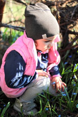 üzgün, rahatsız, sıcak giyinmiş kız bir şapka içinde bağmavi kardelen çiçekleri arasında dizlerinin üzerine oturur