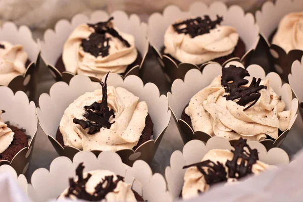 Belo chocolate creme coberto cupcakes em uma caixa branca amarrada com uma corda em um fundo de concreto — Fotografia de Stock