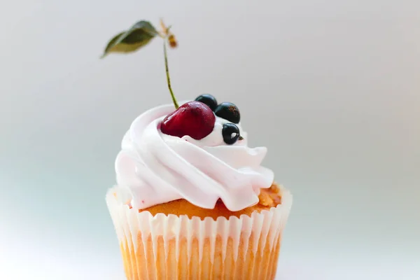 Cupcake isolado com creme, cereja com uma folha e groselha preta em um fundo branco . — Fotografia de Stock