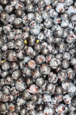 şarap yapma sürecinden önce ayrılmış üzüm meyveleri.