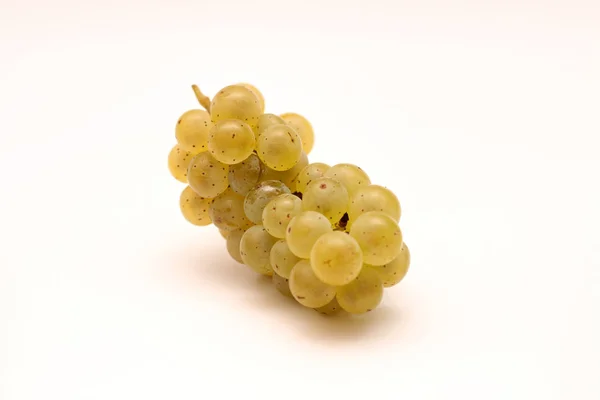 Racimo amarillo aislado de uvas sobre un fondo blanco — Foto de Stock