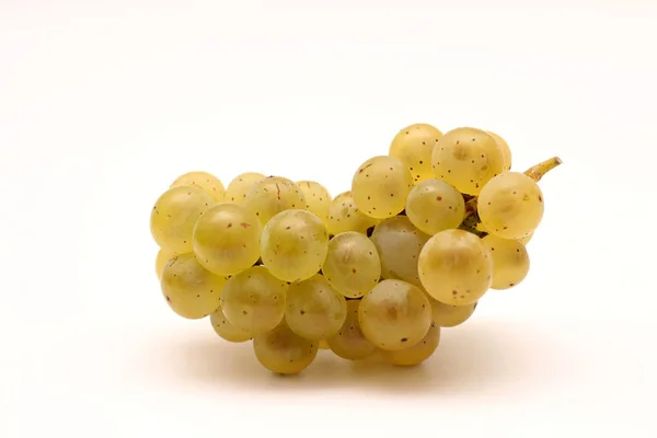 Racimo amarillo aislado de uvas sobre un fondo blanco —  Fotos de Stock