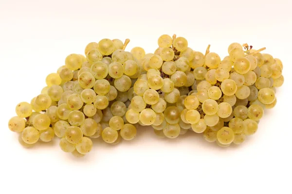Cacho amarelo isolado de uvas em um fundo branco — Fotografia de Stock