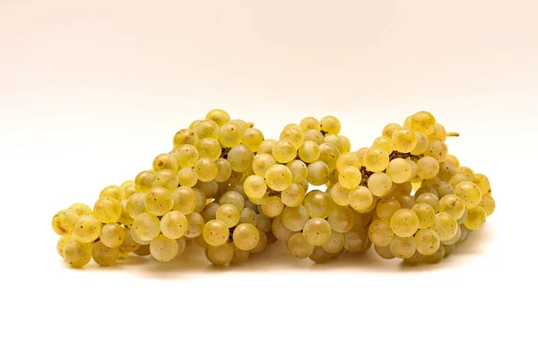 Cacho amarelo isolado de uvas em um fundo branco — Fotografia de Stock