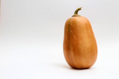 Beyaz arka planda izole bir kabak