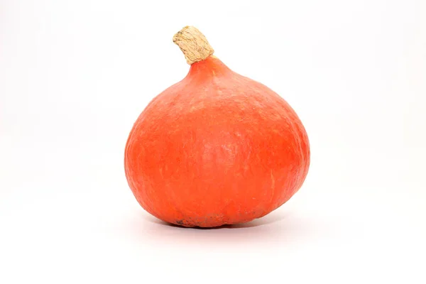 Isolated red kuri squash on a white background. Side view of a small pumpkin without the ridges. — Stock Photo, Image