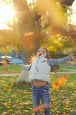 Neşeli bir çocuk bir kucak dolusu düşen sarı yaprakları saçıyor. Sonbahar parkında güneşli bir gün batımı.