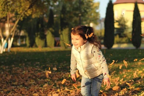 Весёлый ребёнок рассеивает горсть жёлтых опавших листьев. Солнечный закат в осеннем парке на открытом воздухе — стоковое фото