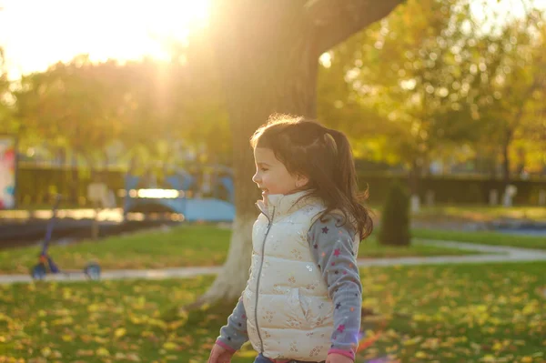 Egy vidám gyermek szétszór egy karnyi sárga lehullott levelet. Sunny naplemente őszi parkban szabadban — Stock Fotó