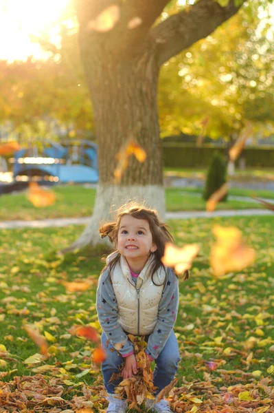 Весёлый ребёнок рассеивает горсть жёлтых опавших листьев. Солнечный закат в осеннем парке на открытом воздухе — стоковое фото