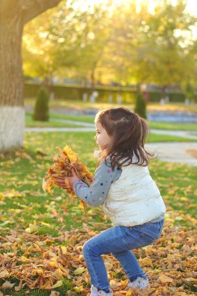Een vrolijk kind verspreidt een arm vol met geel gevallen bladeren. Zonnige zonsondergang in het herfstpark buiten — Stockfoto