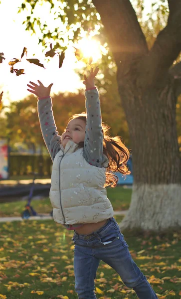 Un niño alegre esparce un brazo de hojas amarillas caídas. Atardecer soleado en el parque de otoño al aire libre — Foto de Stock