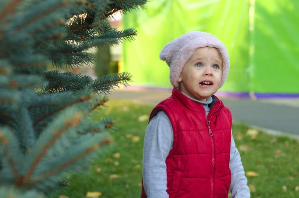 Un niño pequeño con un sombrero rosado esponjoso y un chaleco rojo está de pie cerca de un pino en el parque de otoño. Hermoso otoño día soleado al aire libre . — Foto de Stock