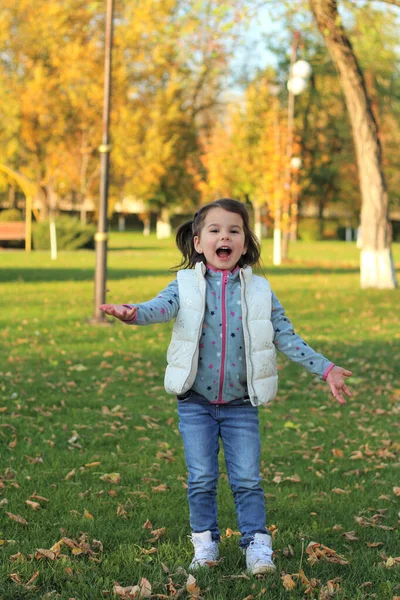 Een vrolijk kind verspreidt een arm vol met geel gevallen bladeren. Zonnige zonsondergang in het herfstpark buiten — Stockfoto