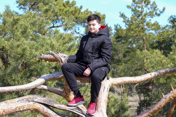 Garçon Blanc Vêtu Noir Baskets Rouges Est Assis Sur Arbre — Photo