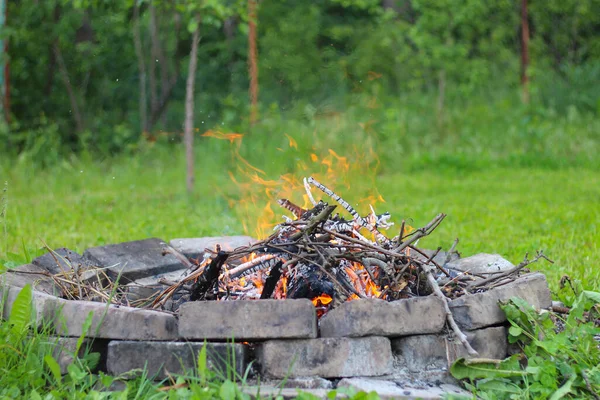 Träd Grenar Brinner Brasa Rund Tegel Öppen Spis — Stockfoto