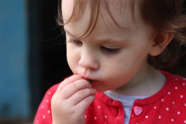 Geniş sarı gözlü, ağzı lekeli, çilek yiyen güzel bir çocuk.