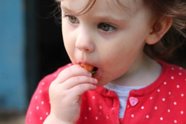 Kırmızı kazaklı, güzel gözlü ve ağzı kirli bir çocuk çilek yiyor.