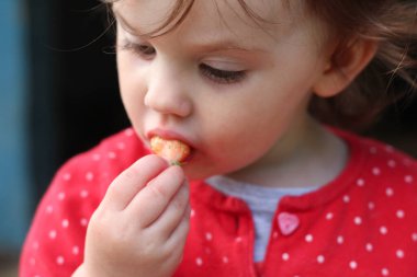 Kırmızı kazaklı, güzel gözlü ve ağzı kirli bir çocuk çilek yiyor.