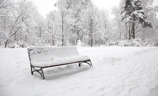 Snow covered bench, bad weather concept. Beautiful snowfall winter park trees landscape.