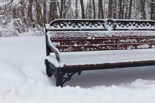 Snow covered bench, cold weather concept. Beautiful snowfall winter park trees landscape
