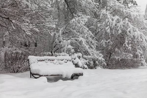 Snow covered bench, cold weather concept. Snowfall winter park landscape.