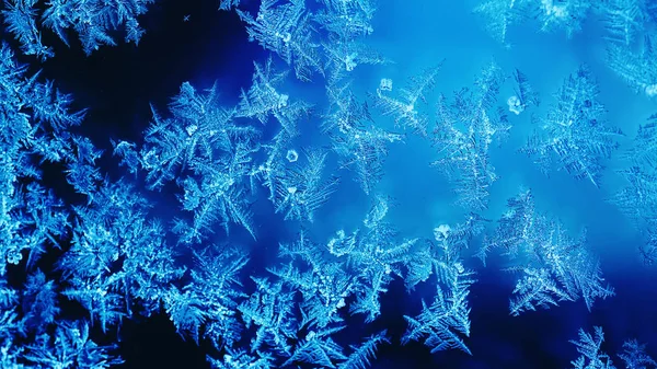 Frosted frozen window abstract background. Winter season Christmas ornament dark blue ice window decoration wallpaper