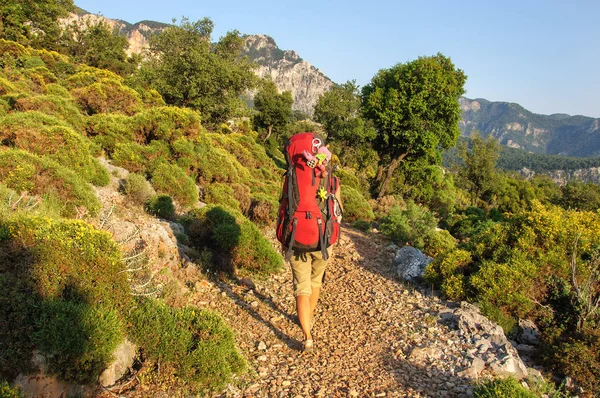 Girl with a large backpack walks along the Lycian trail against the background of the sea and pines. Turkey — Stock Photo, Image