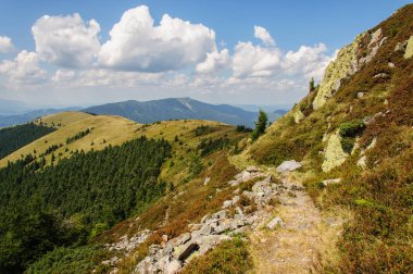 Güzel Karpat Dağları'nda iz hiking. Ukrayna