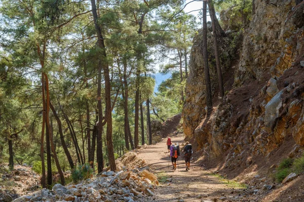 Grupo de turistas con grandes mochilas pasa por el bosque a lo largo del sendero de Lycian. Turquía — Foto de Stock