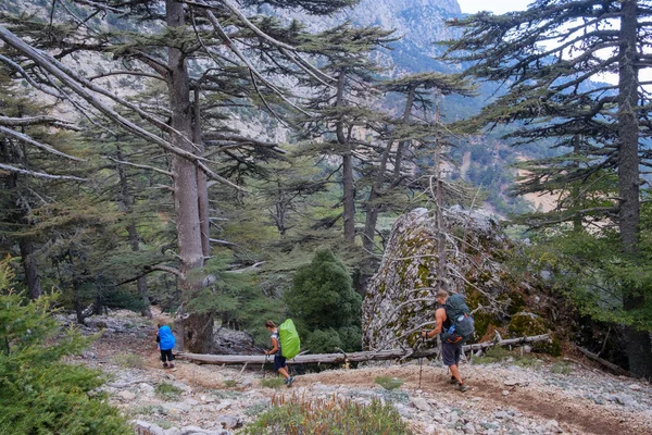 Grupo de turistas con grandes mochilas pasa por el bosque a lo largo del sendero de Lycian. Turquía — Foto de Stock
