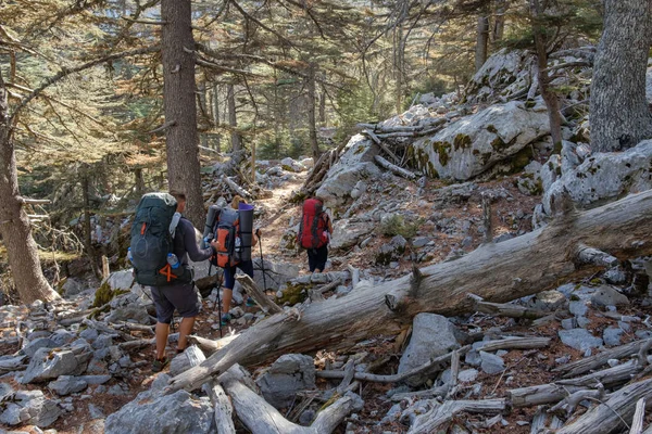 Group of tourists with large backpacks goes through the forest along the Lycian trail. Turkey — Stock Photo, Image