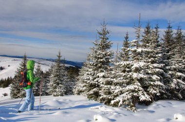 kadın açık havada giysiler içinde güzel karlı çam ormanı içinde ahşap kayaklar üzerinde biniyor