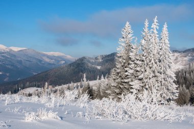Kış güneş manzara dağ orman