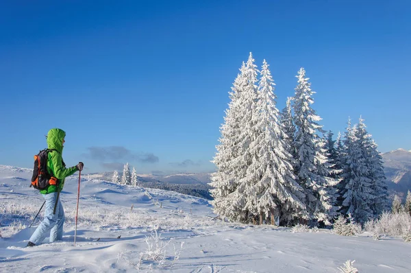 Vrouw in buiten kleren is rijden op houten Ski's in prachtige besneeuwde dennenbos — Stockfoto