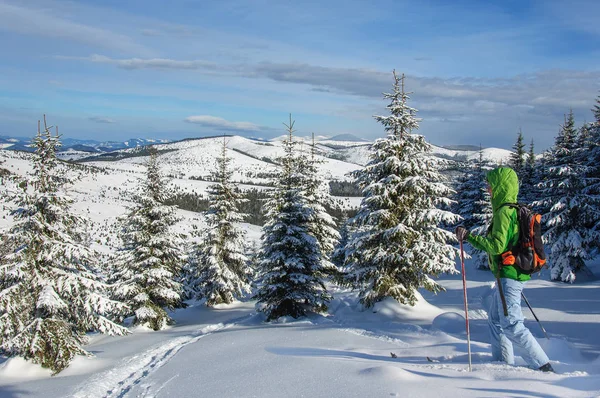 Mujer en ropa al aire libre está montando en esquís de madera en hermoso bosque de pinos nevados —  Fotos de Stock