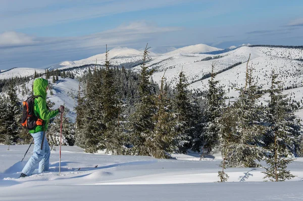 Vrouw in buiten kleren is rijden op houten Ski's in prachtige besneeuwde dennenbos — Stockfoto