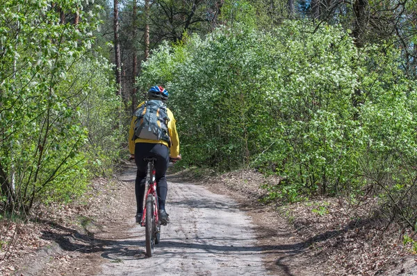 Homem na montanha passeio de bicicleta na estrada de sujeira contra na floresta de primavera — Fotografia de Stock