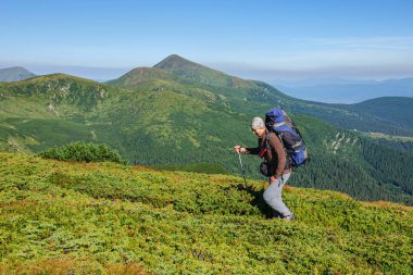 Büyük bir sırt çantası ve elinde yürüyüş direkleri olan bir sporcu Karpat Dağları 'ndaki bir dağ yolunda yürüyor. Ukrayna 