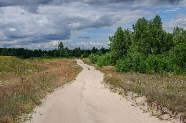 Hermoso Ancho Camino Tierra Través Abedul Contra Cielo Nublado — Foto de Stock