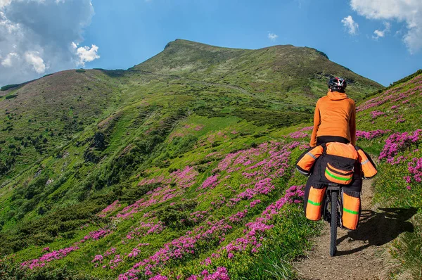 Sports Man Mountain Bike Large Backpack Rides Narrow Path Blooming — Stock Photo, Image