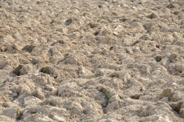 Kırsal kesimde ekilebilir arazi. Çiftlik arazisi. Tarım arazisi ekime hazır. Toprağı sürdüm ve yaraladım. Toprak yeni sezon için sürüldü.