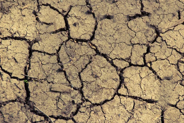 Cerrar Vista Fondo Superficie Tierra Agrietada Textur — Foto de Stock